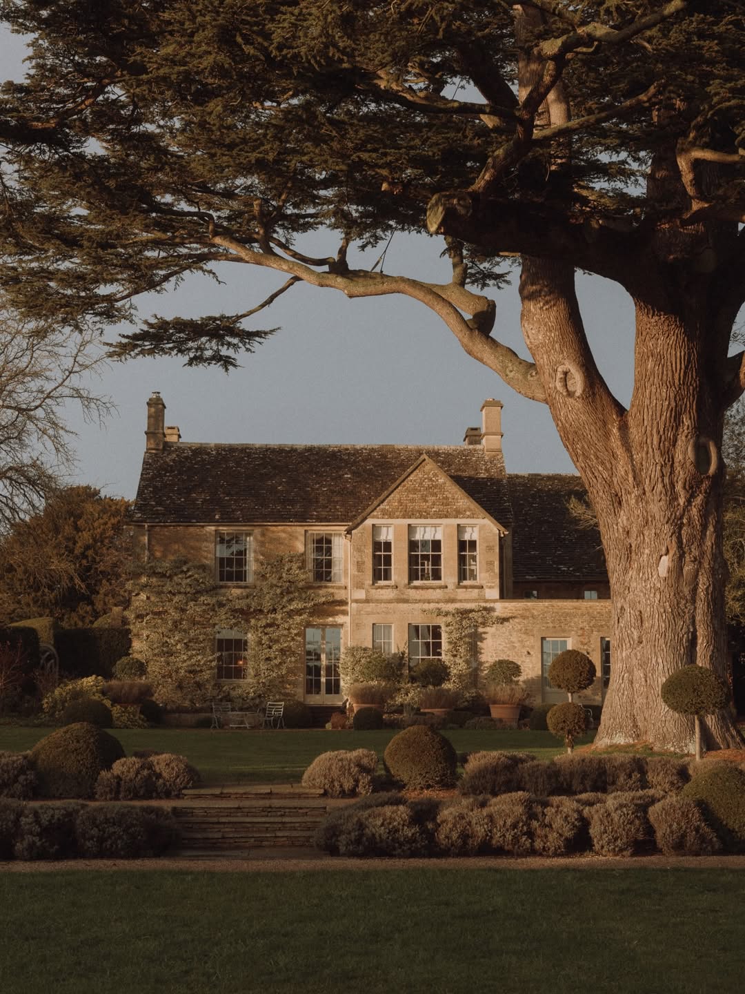 Finn Beales (@finn) photographs @thyme.england in ...