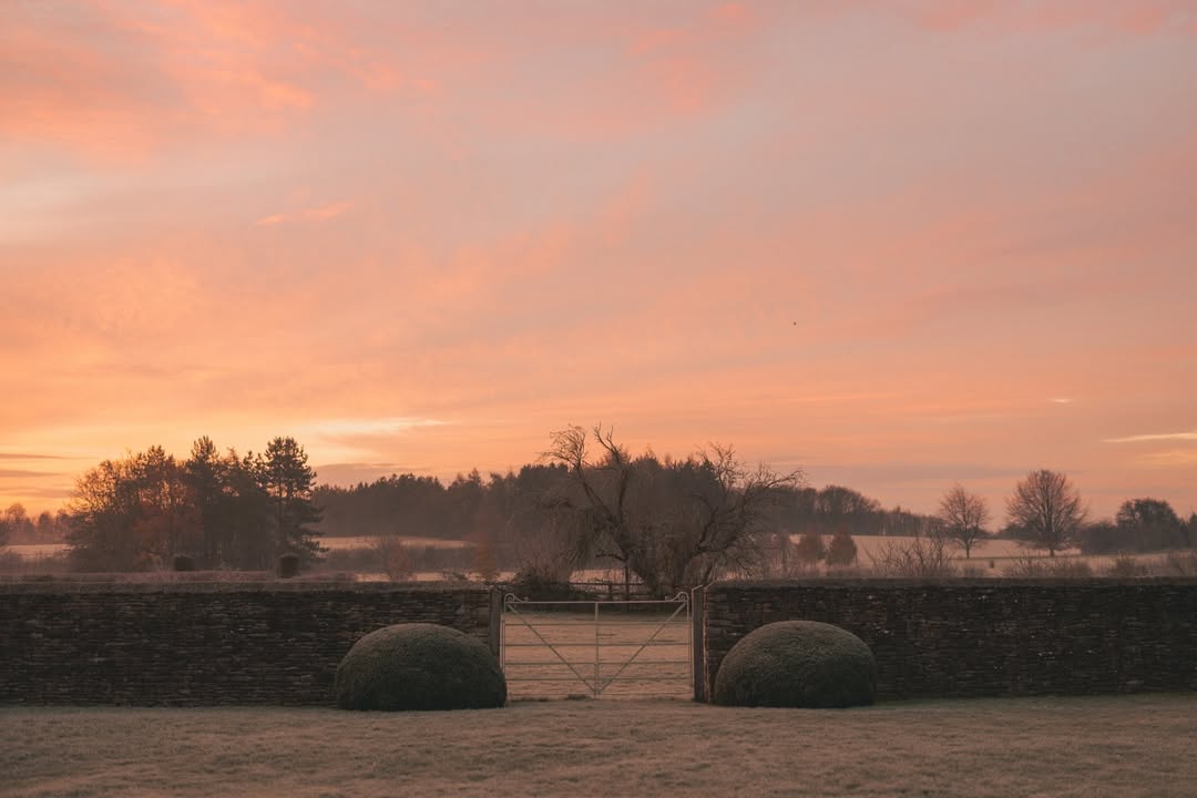 Finn Beales (@finn) photographs @thyme.england in ...