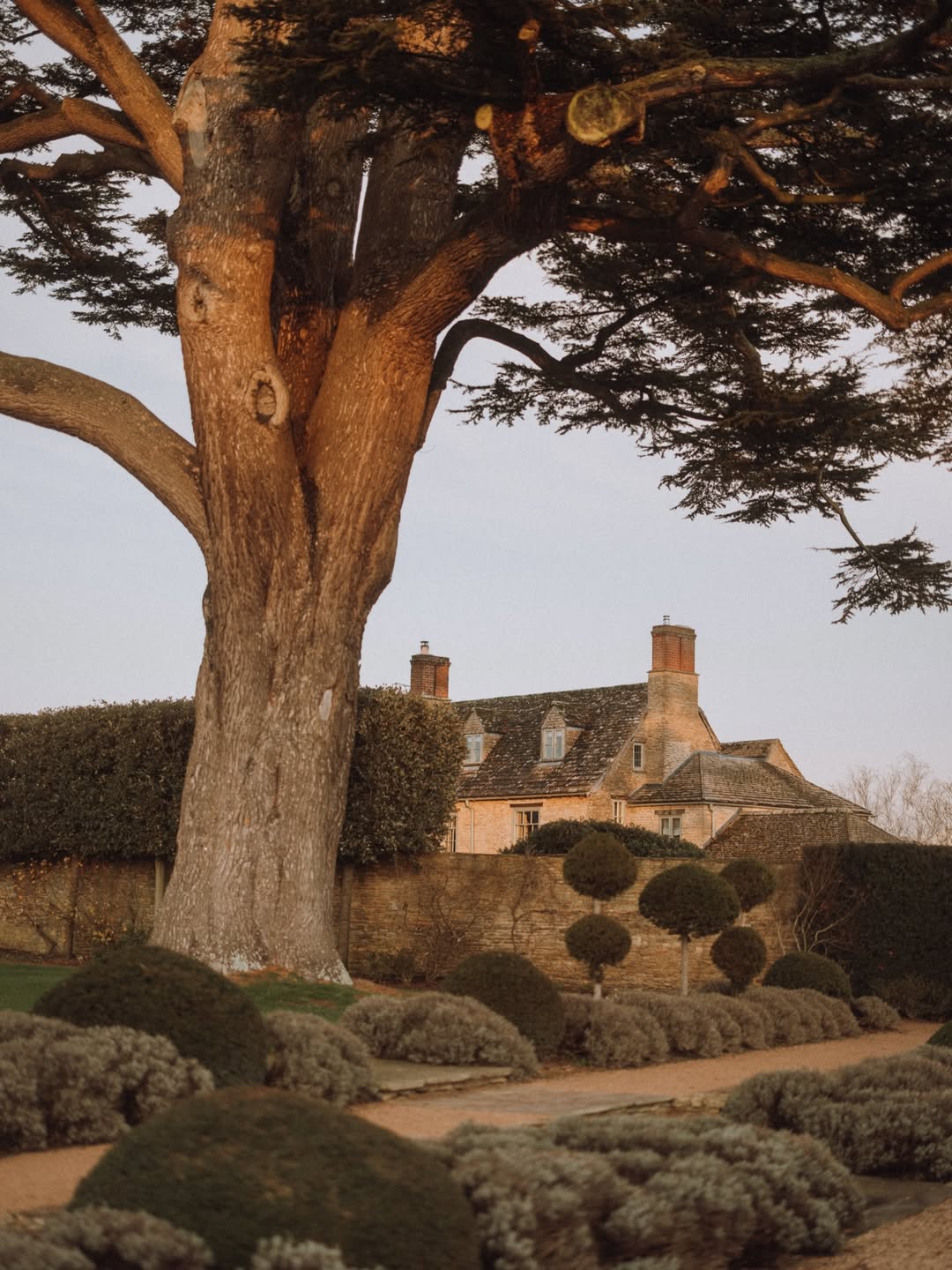 Finn Beales (@finn) photographs @thyme.england in ...