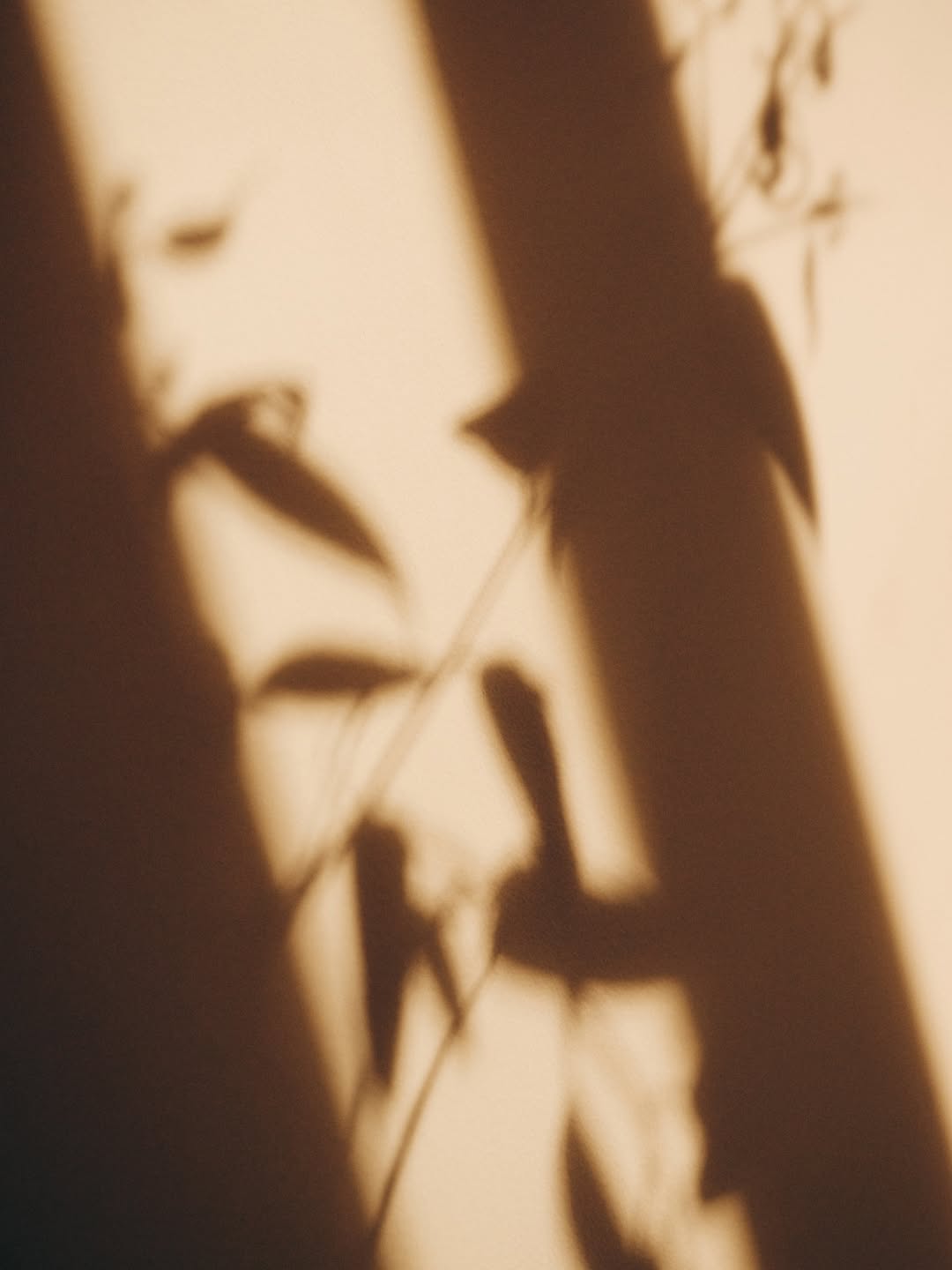 PEDEN+MUNK X Maru Coffee Feb. 26