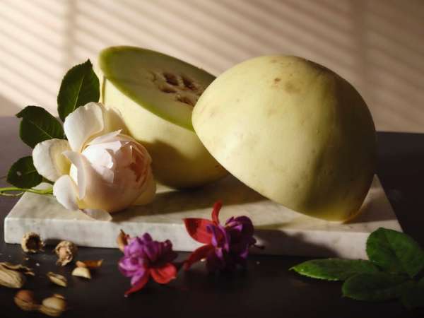 Grant Cornett (@grantcornett) photographs a...