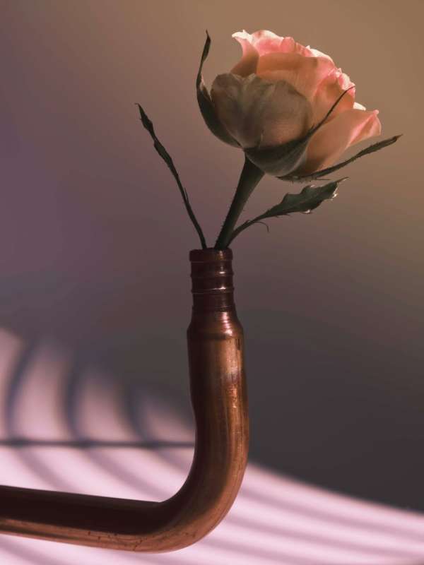 Grant Cornett (@grantcornett) photographs a...