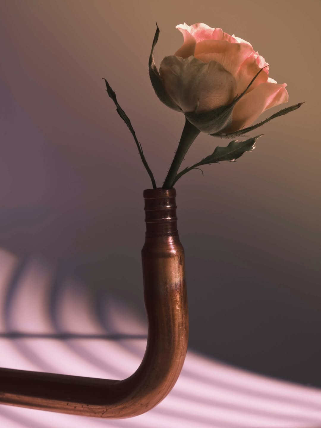 Grant Cornett (@grantcornett) photographs a personal project ‘Studies’ using ordinary objects from his studio. These still lifes reveal his distinct eye, turning the everyday into thoughtful, striking compositions.
⠀⠀⠀⠀⠀⠀⠀⠀⠀
#GrantCornett #Photographer #Studies