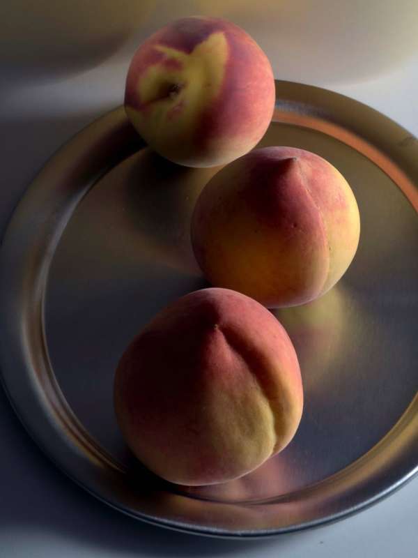 Grant Cornett (@grantcornett) photographs a...