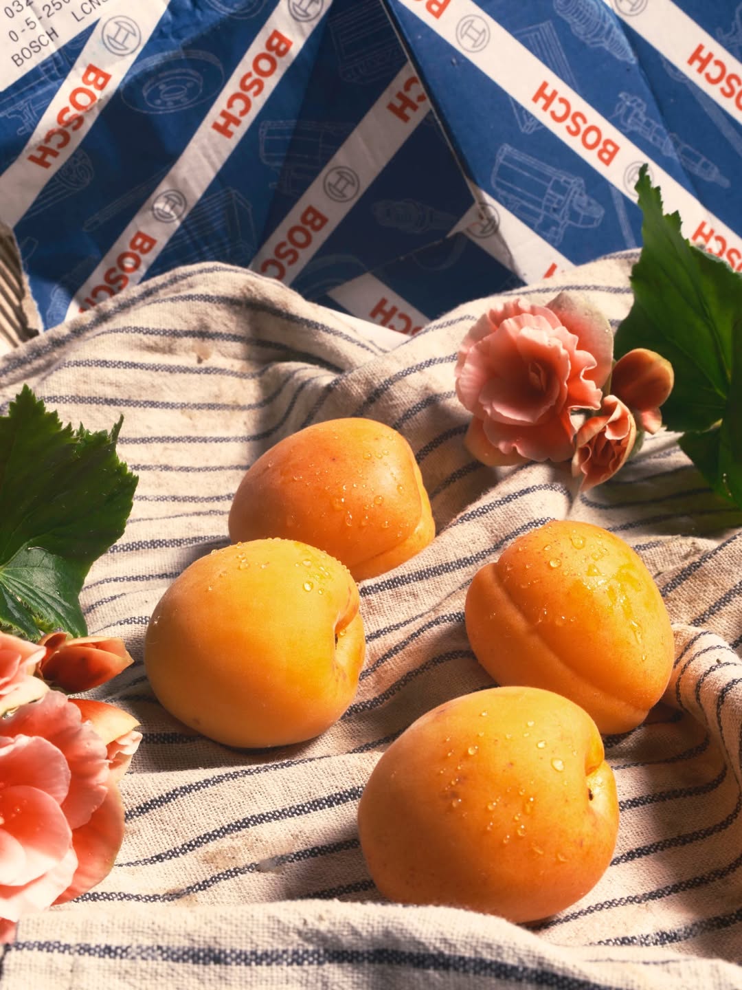 Grant Cornett (@grantcornett) photographs a personal project ‘Studies’ using ordinary objects from his studio. These still lifes reveal his distinct eye, turning the everyday into thoughtful, striking compositions.
⠀⠀⠀⠀⠀⠀⠀⠀⠀
#GrantCornett #Photographer #Studies