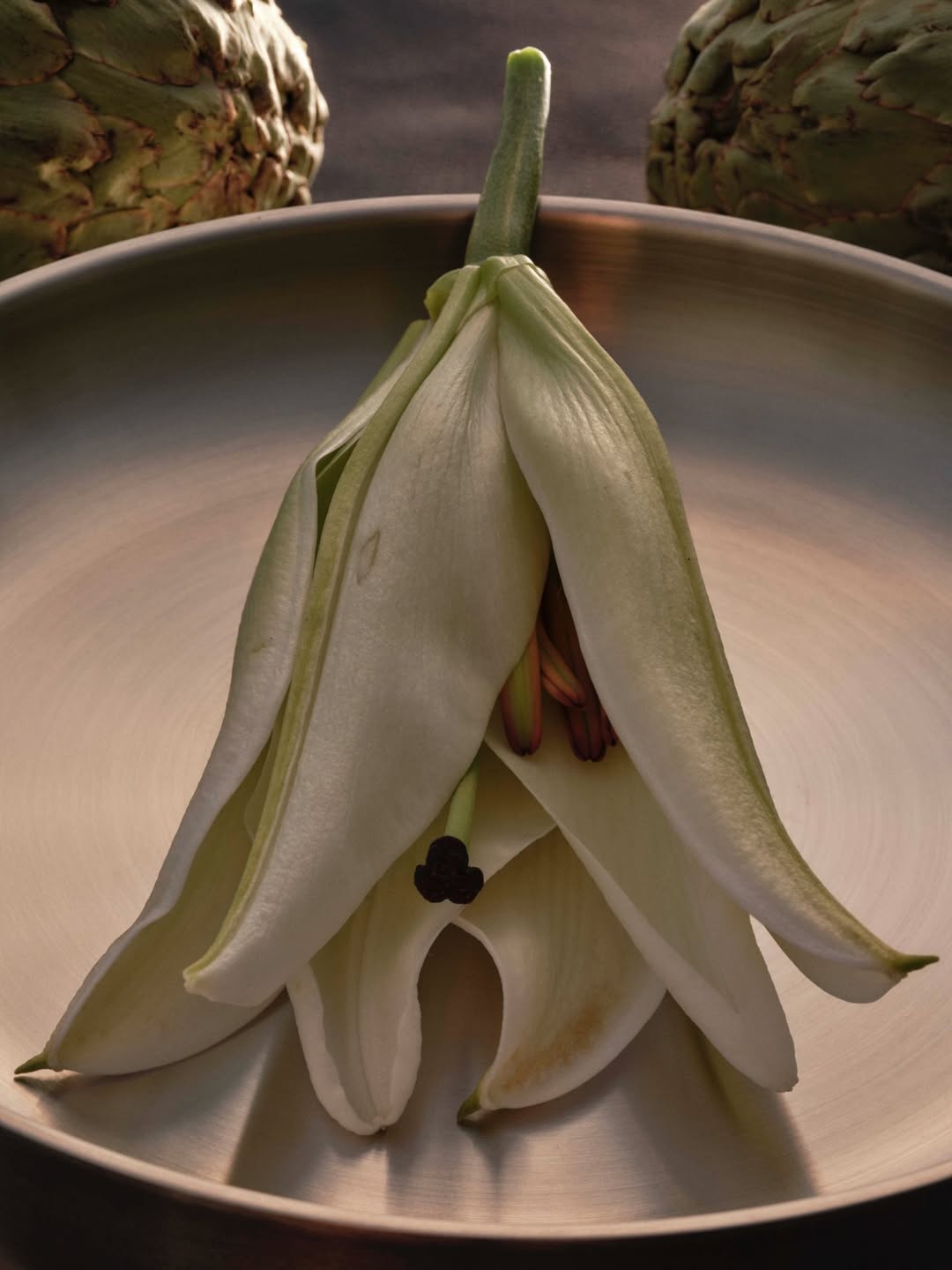 Grant Cornett (@grantcornett) photographs a personal project ‘Studies’ using ordinary objects from his studio. These still lifes reveal his distinct eye, turning the everyday into thoughtful, striking compositions.
⠀⠀⠀⠀⠀⠀⠀⠀⠀
#GrantCornett #Photographer #Studies