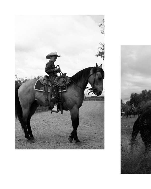 As we welcome the Year of the Horse, we’re ...