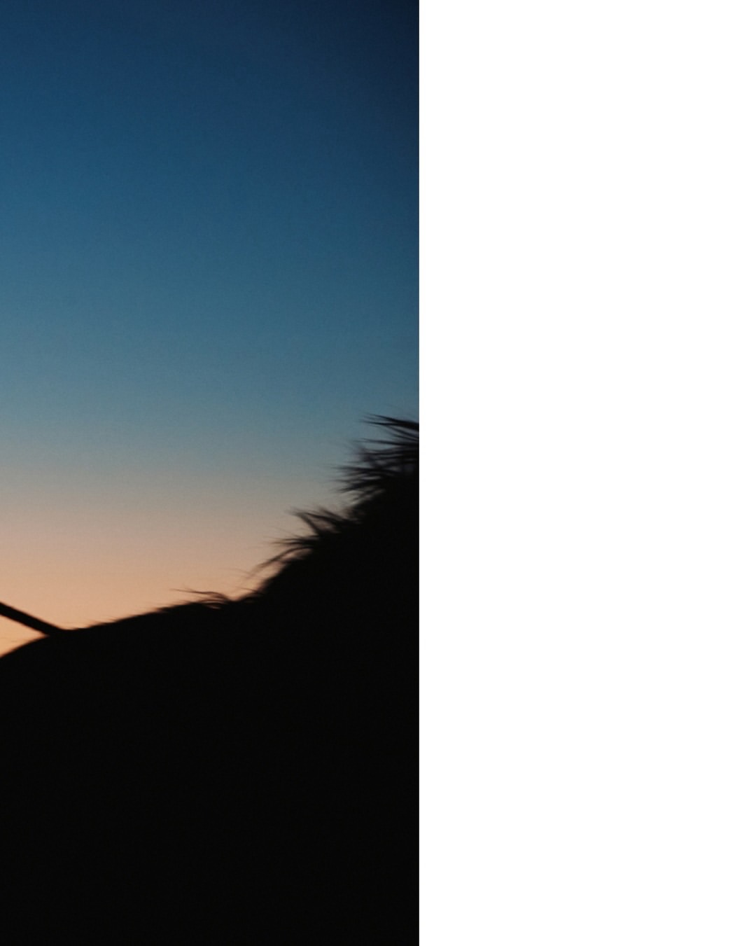 As we welcome the Year of the Horse, we’re sharing a selection of works from across our roster, reflections on power, grace, momentum of the year ahead. 🐎
⠀⠀⠀⠀⠀⠀⠀⠀⠀
Mei Tao (@taomeitao) directs and photographs “Home Coming” capturing friend and collaborator Hannah (@hannah_holman_) at her family’s farm in Utah. The project is an intimate portrait of stillness, strength, and belonging.
⠀⠀⠀⠀⠀⠀⠀⠀⠀
#MeiTao #Director #Photographer #YearoftheHorse #HomeComing LairdandGoodCompany