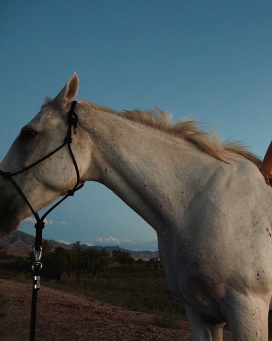 As we welcome the Year of the Horse, we’re sharing a selection of works from across our roster, reflections on power, grace, momentum of the year ahead. 🐎
⠀⠀⠀⠀⠀⠀⠀⠀⠀
Mei Tao (@taomeitao) directs and photographs “Home Coming” capturing friend and collaborator Hannah (@hannah_holman_) at her family’s farm in Utah. The project is an intimate portrait of stillness, strength, and belonging.
⠀⠀⠀⠀⠀⠀⠀⠀⠀
#MeiTao #Director #Photographer #YearoftheHorse #HomeComing LairdandGoodCompany