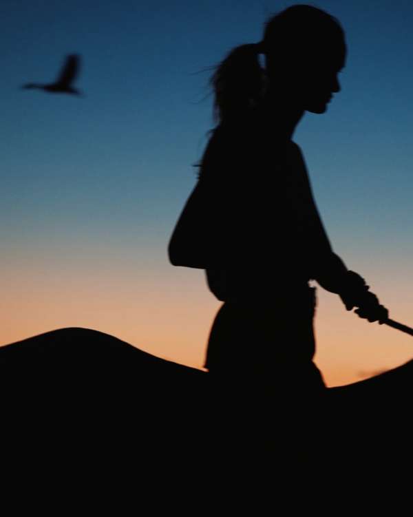 As we welcome the Year of the Horse, we’re ...