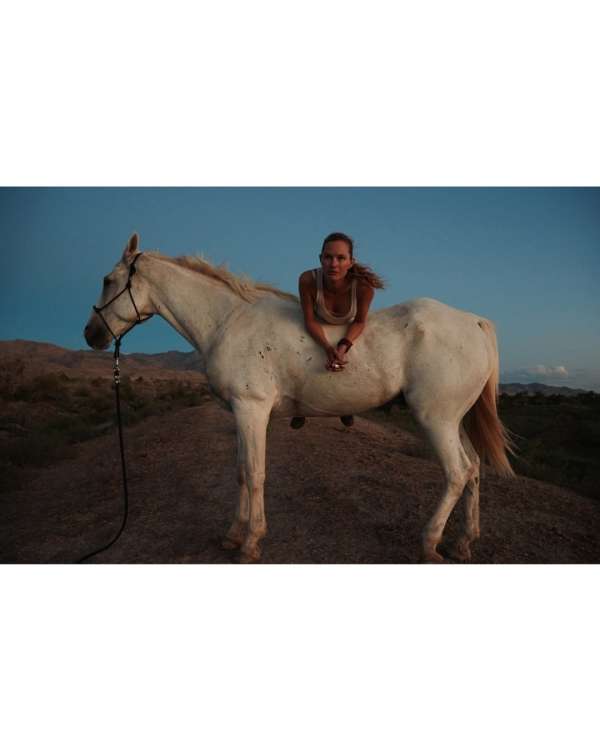 As we welcome the Year of the Horse, we’re ...