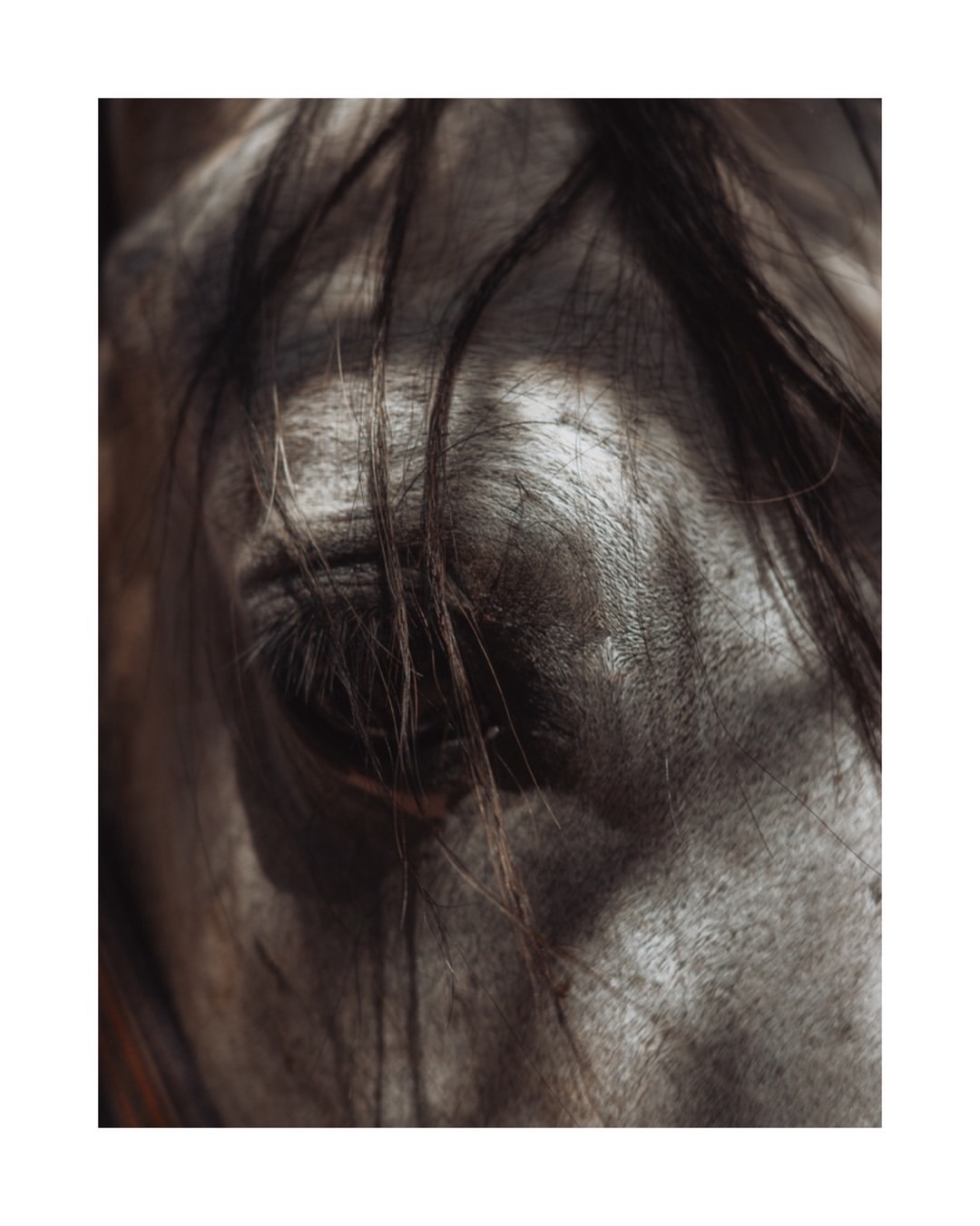 As we welcome the Year of the Horse, we’re shari...