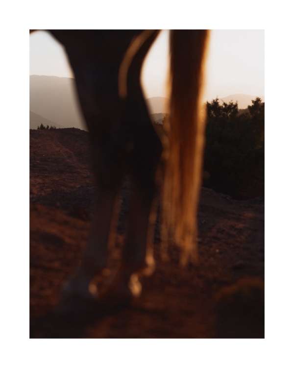 As we welcome the Year of the Horse, we’re ...