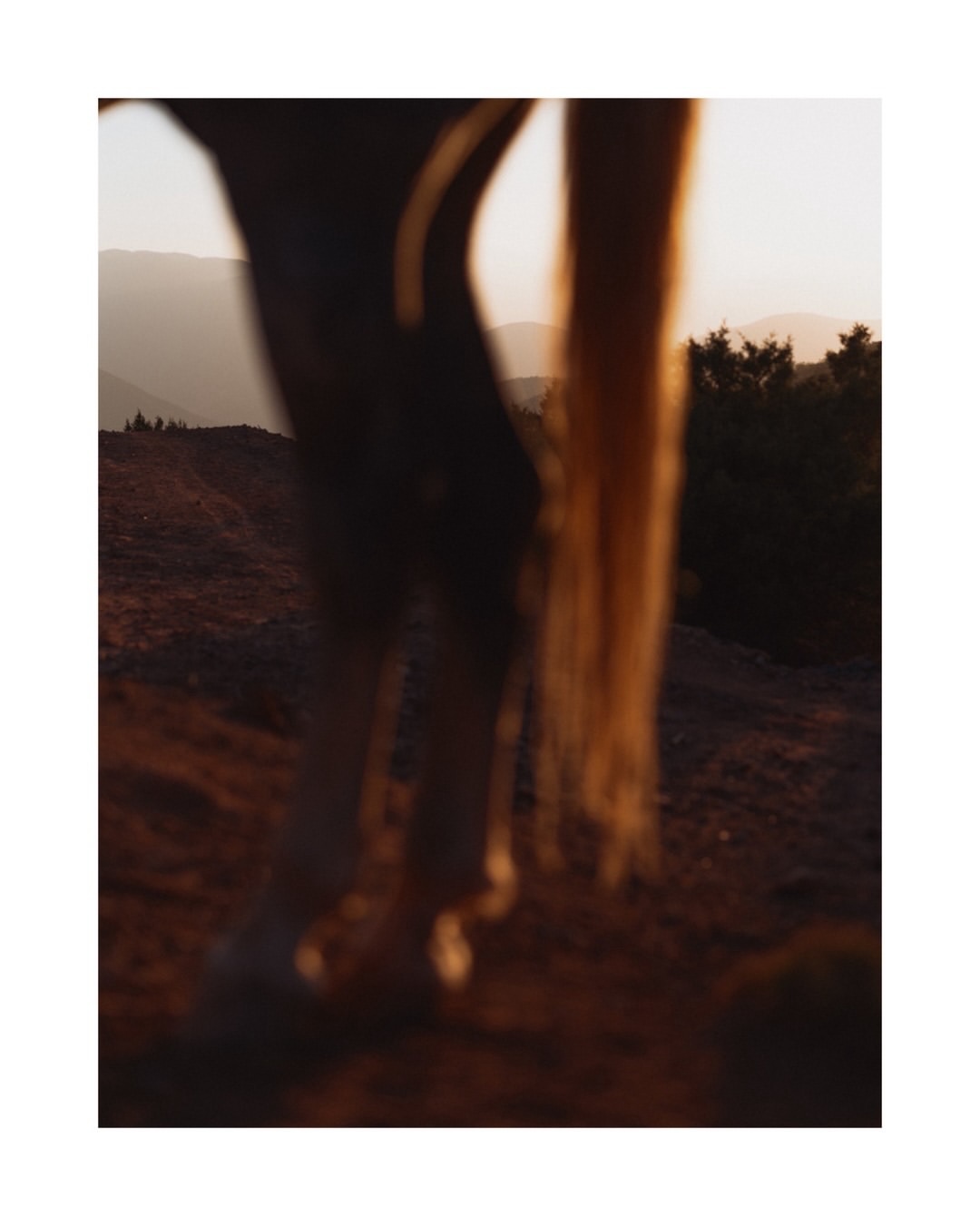 As we welcome the Year of the Horse, we’re shari...