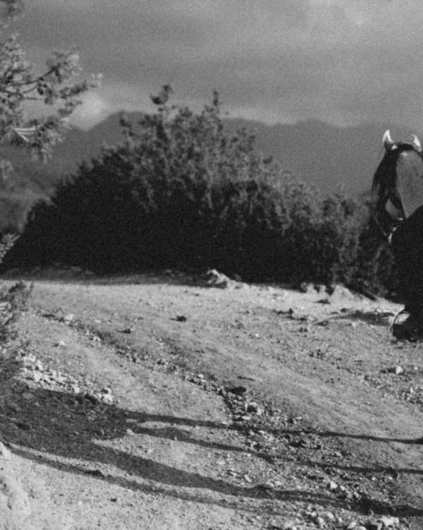 As we welcome the Year of the Horse, we’re ...