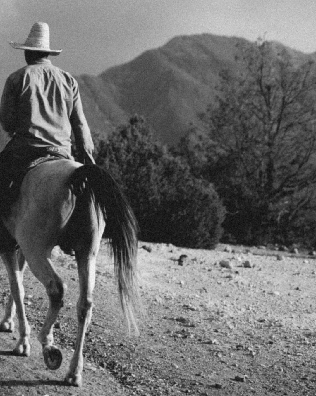 As we welcome the Year of the Horse, we’re shari...