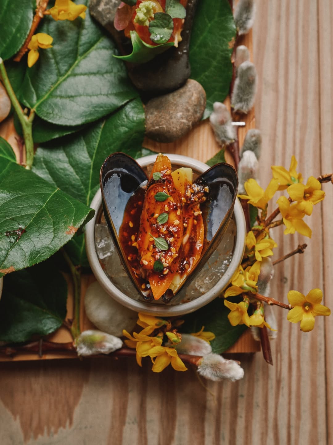 PEDEN+MUNK X Cove Mar. 26