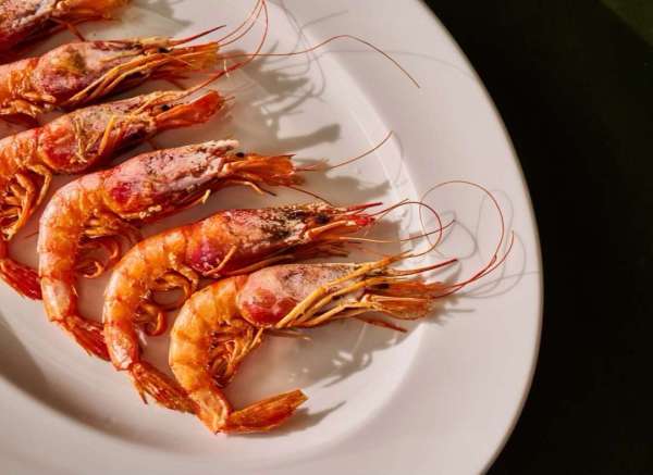 Gentl and Hyers (@gentlandhyers) photograph...