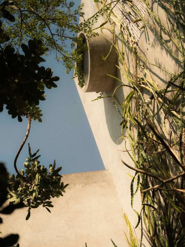 Maureen M. Evans (@maureenme) directs and p...