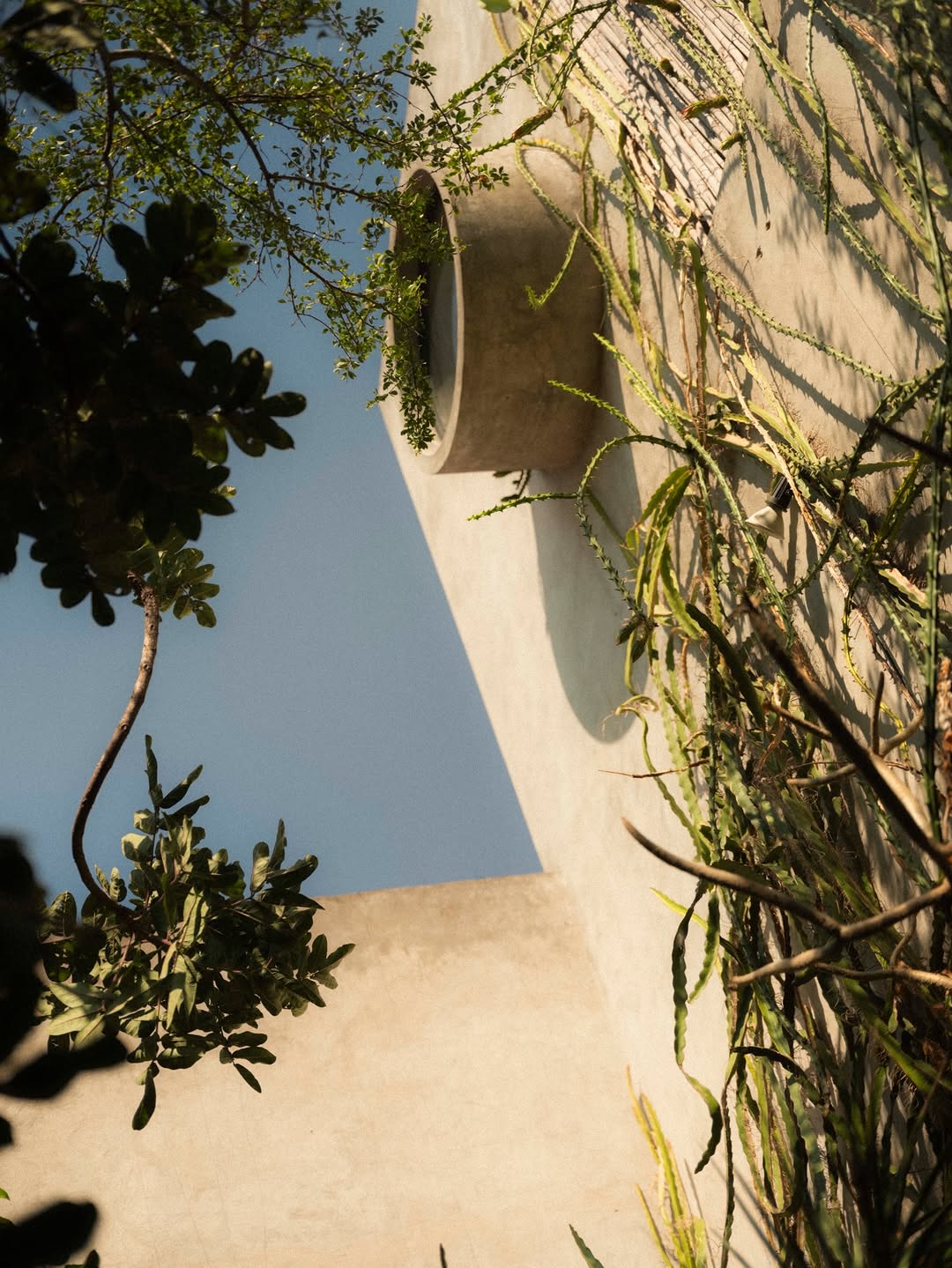 Maureen M. Evans (@maureenme) directs and photogra...