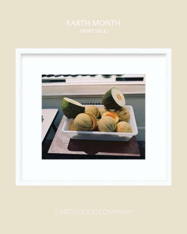 In honor of Earth Month, we’re offering 25%...