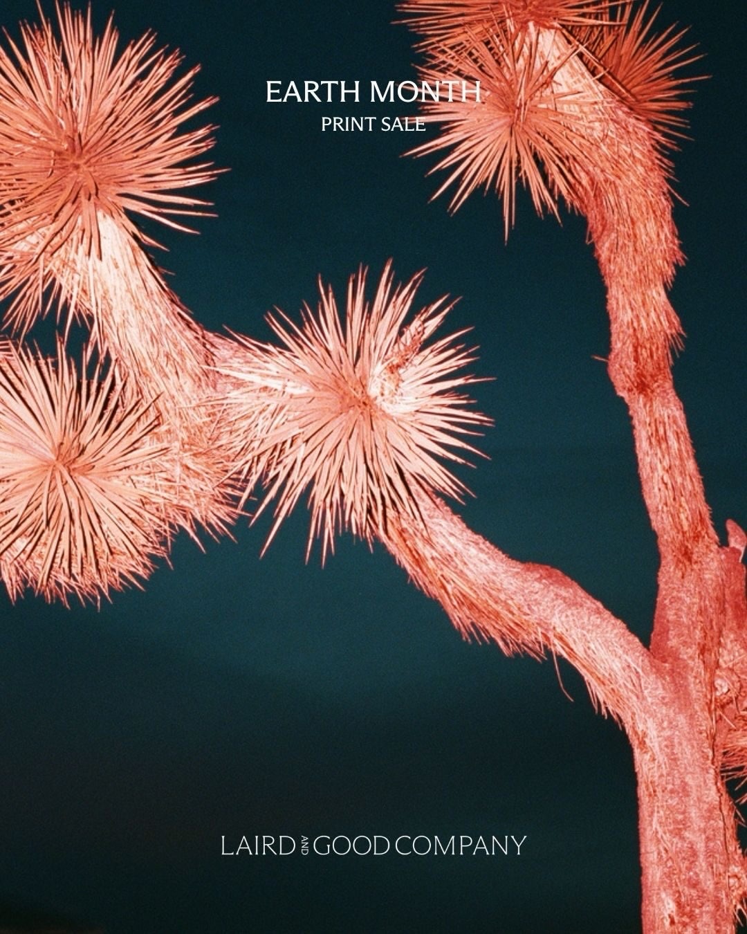 In honor of Earth Month, we’re offering 25% off ...