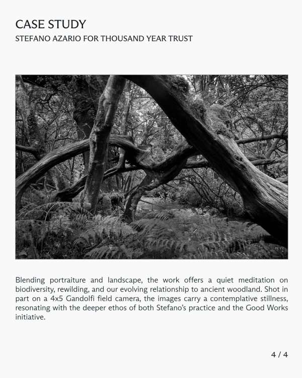In this case study, we explore Stefano Azar...