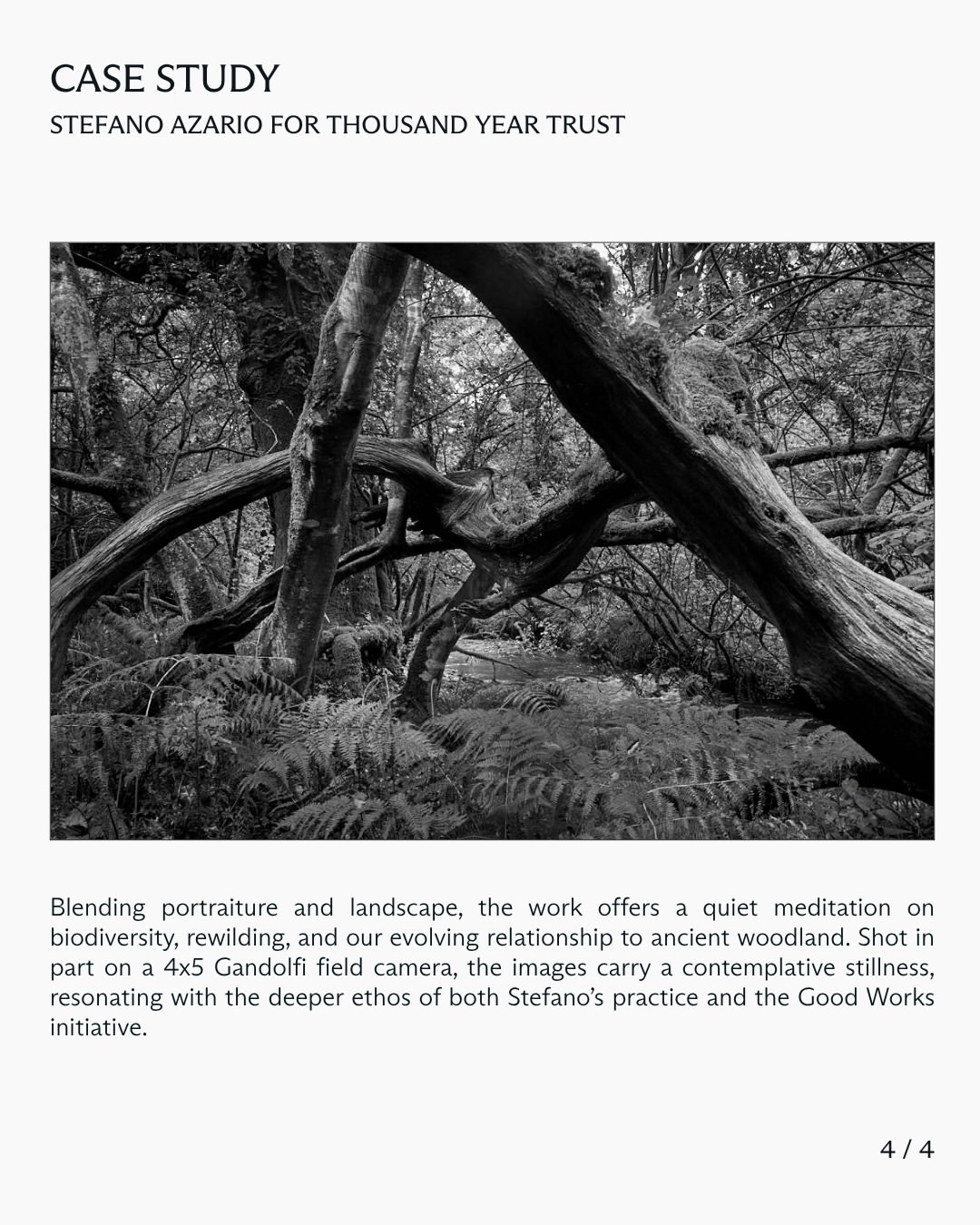 In this case study, we explore Stefano Azario’s (@stefanoazario) collaboration with Thousand Year Trust, developed in close partnership with the Trust’s creative team and produced by Laird and Good Company as part of our Good Works initiative.
⠀⠀⠀⠀⠀⠀⠀⠀⠀
This latest chapter unfolds in Cabilla Wood, one of the UK’s last remaining temperate rainforests, an ecosystem that once covered 98% of the British Isles and now survives at just 2%.
⠀⠀⠀⠀⠀⠀⠀⠀⠀
Swipe to read the full case study.
⠀⠀⠀⠀⠀⠀⠀⠀⠀
#StefanoAzario #Photographer #ThousandYearTrust #GoodWorks