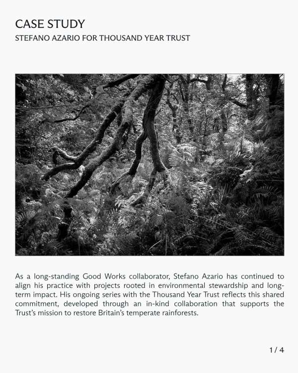 In this case study, we explore Stefano Azar...