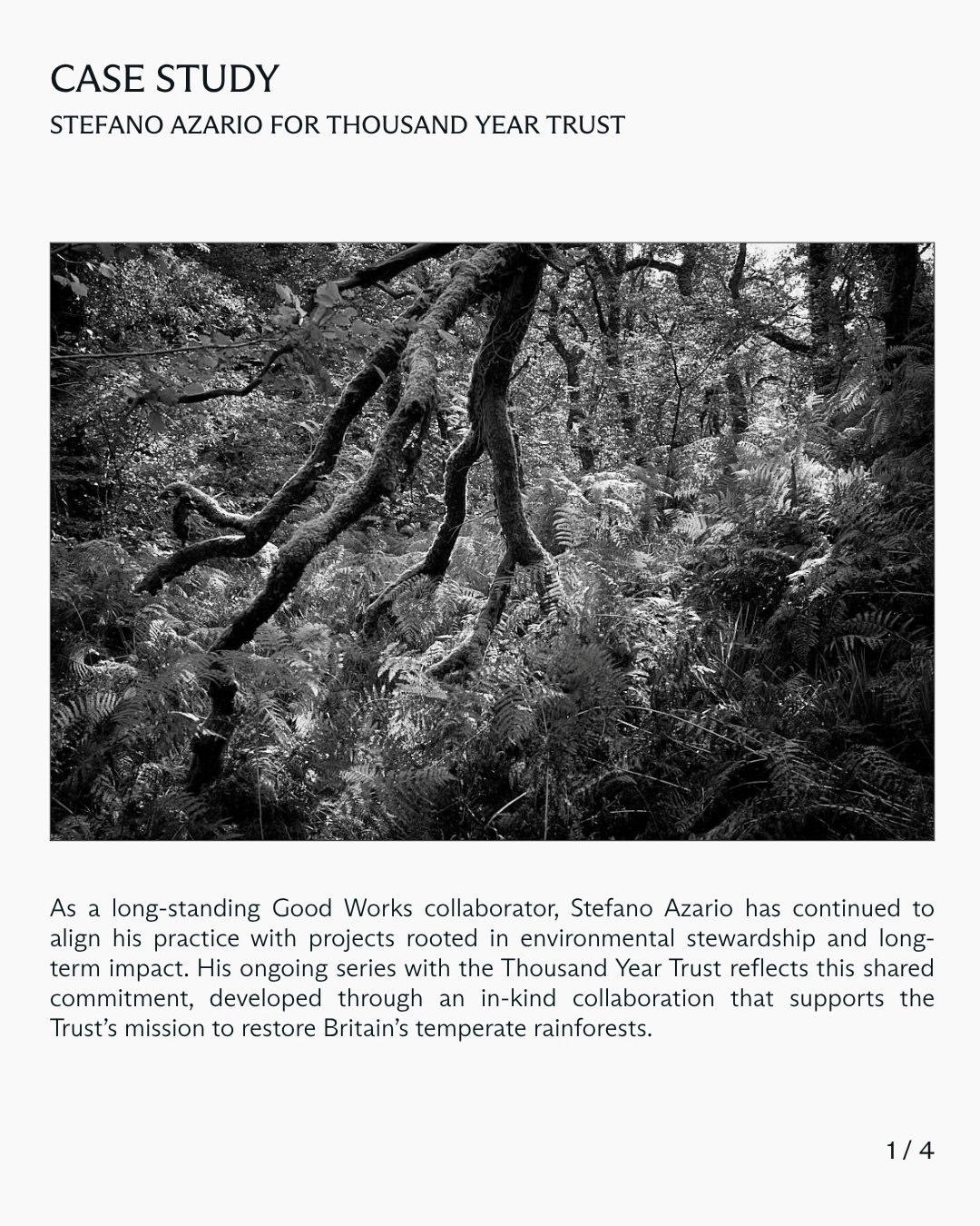In this case study, we explore Stefano Azario’s (@stefanoazario) collaboration with Thousand Year Trust, developed in close partnership with the Trust’s creative team and produced by Laird and Good Company as part of our Good Works initiative.
⠀⠀⠀⠀⠀⠀⠀⠀⠀
This latest chapter unfolds in Cabilla Wood, one of the UK’s last remaining temperate rainforests, an ecosystem that once covered 98% of the British Isles and now survives at just 2%.
⠀⠀⠀⠀⠀⠀⠀⠀⠀
Swipe to read the full case study.
⠀⠀⠀⠀⠀⠀⠀⠀⠀
#StefanoAzario #Photographer #ThousandYearTrust #GoodWorks