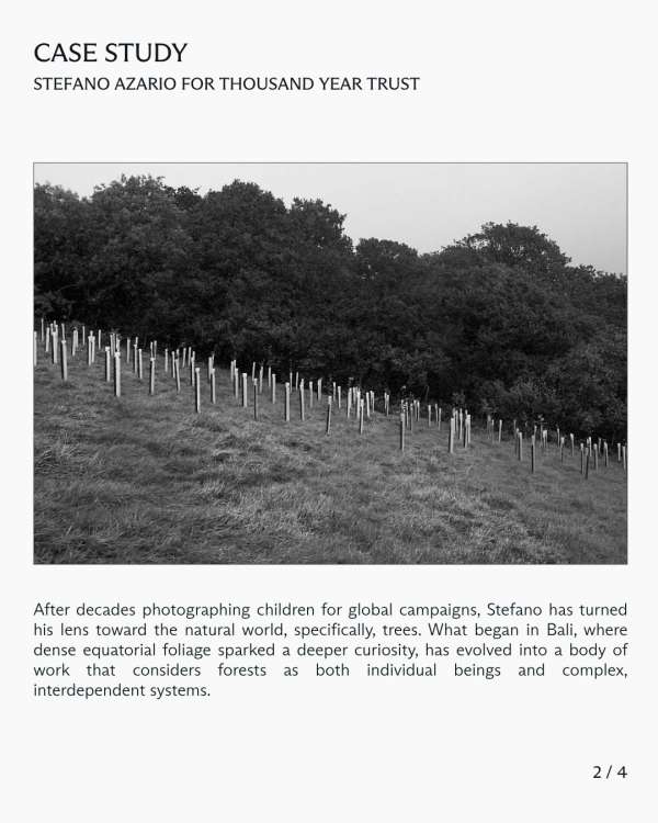 In this case study, we explore Stefano Azar...