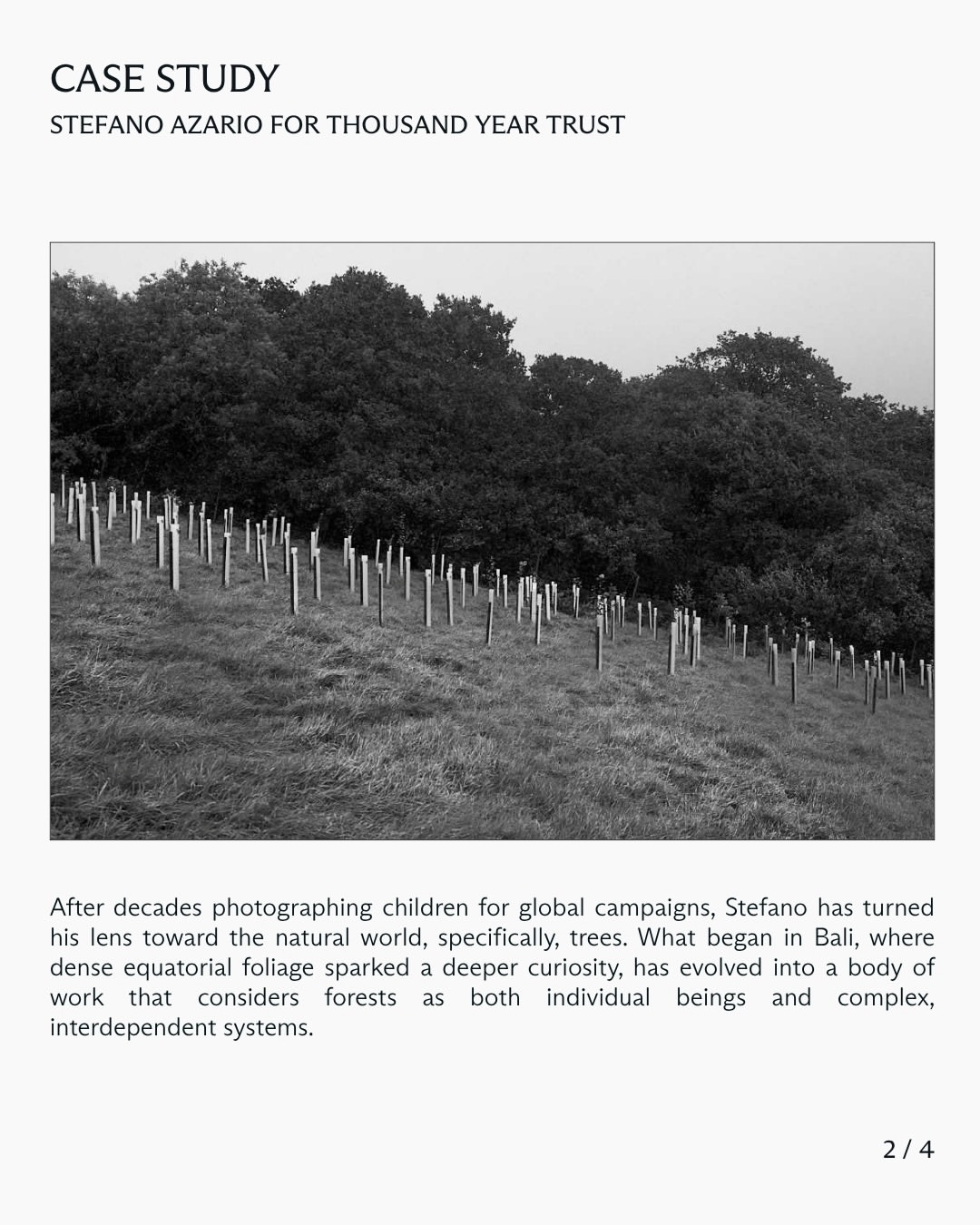 In this case study, we explore Stefano Azario’s (@stefanoazario) collaboration with Thousand Year Trust, developed in close partnership with the Trust’s creative team and produced by Laird and Good Company as part of our Good Works initiative.
⠀⠀⠀⠀⠀⠀⠀⠀⠀
This latest chapter unfolds in Cabilla Wood, one of the UK’s last remaining temperate rainforests, an ecosystem that once covered 98% of the British Isles and now survives at just 2%.
⠀⠀⠀⠀⠀⠀⠀⠀⠀
Swipe to read the full case study.
⠀⠀⠀⠀⠀⠀⠀⠀⠀
#StefanoAzario #Photographer #ThousandYearTrust #GoodWorks