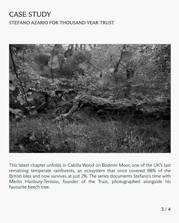 In this case study, we explore Stefano Azar...