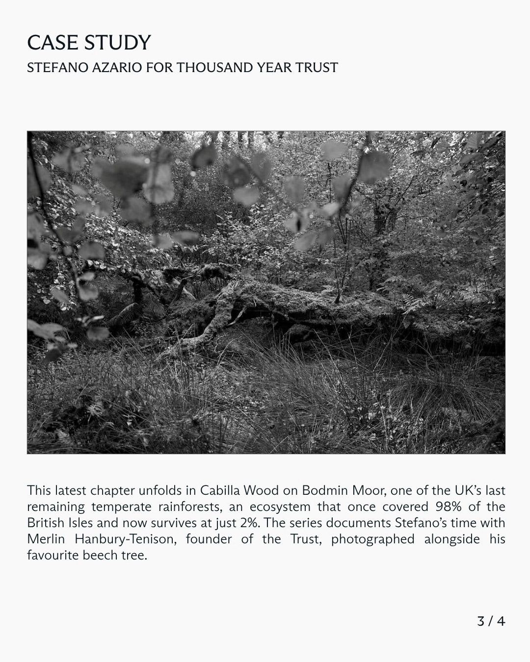 In this case study, we explore Stefano Azario’s (@stefanoazario) collaboration with Thousand Year Trust, developed in close partnership with the Trust’s creative team and produced by Laird and Good Company as part of our Good Works initiative.
⠀⠀⠀⠀⠀⠀⠀⠀⠀
This latest chapter unfolds in Cabilla Wood, one of the UK’s last remaining temperate rainforests, an ecosystem that once covered 98% of the British Isles and now survives at just 2%.
⠀⠀⠀⠀⠀⠀⠀⠀⠀
Swipe to read the full case study.
⠀⠀⠀⠀⠀⠀⠀⠀⠀
#StefanoAzario #Photographer #ThousandYearTrust #GoodWorks