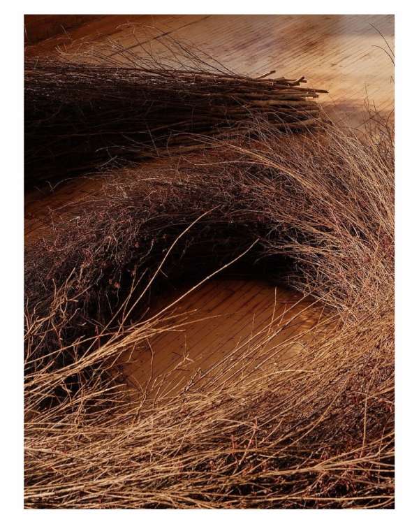 Emiliano Granadao (@quesofrito) photographs...