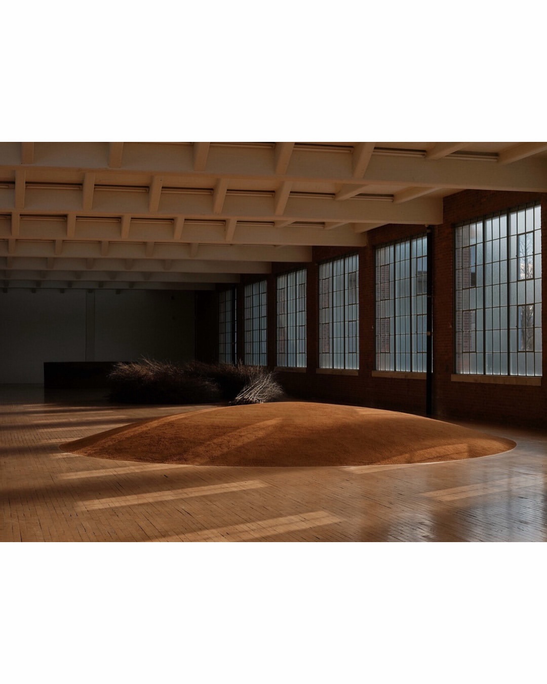 Emiliano Granadao (@quesofrito) photographs artist Meg Webster at Dia Beacon for @nytimes.
⠀⠀⠀⠀⠀⠀⠀⠀⠀
#EmilianoGranado #Photographer #TheNewYorkTimes #MegWebster