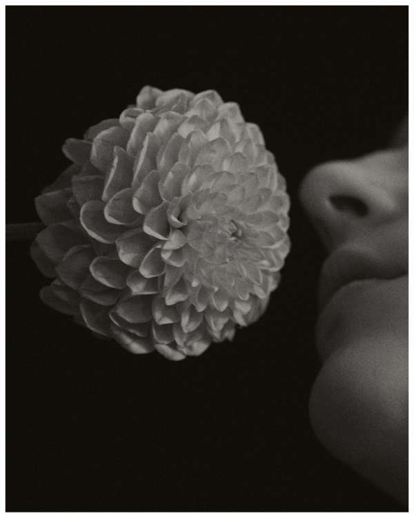Rich Stapleton (@rvstapleton) photographs N...