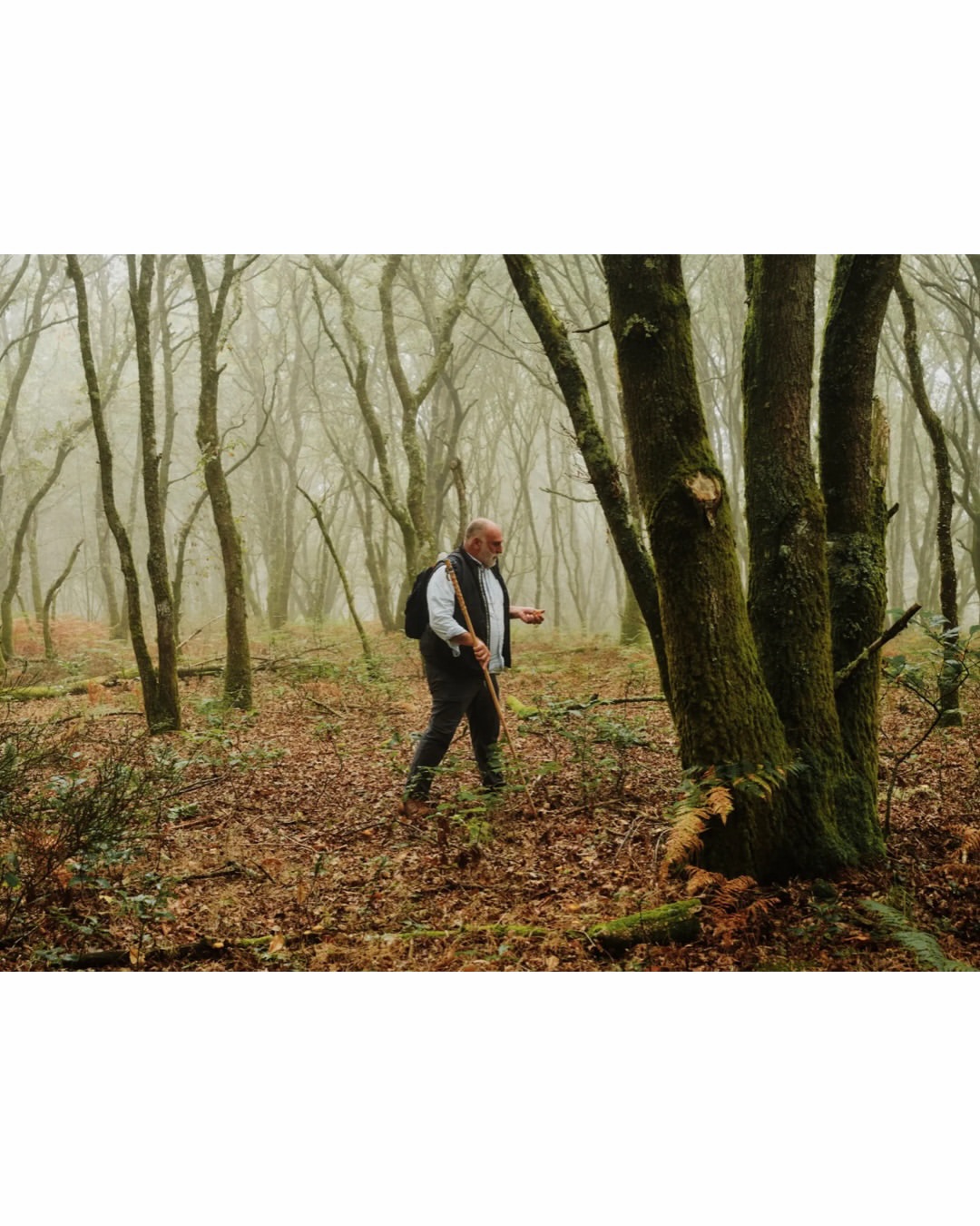 Emiliano Granado (@quesofrito) photographs @chefjoseandres for @outsidemagazine’s Summer Issue Cover Story. Written by @sintumuang.
⠀⠀⠀⠀⠀⠀⠀⠀⠀
‘Jose Andres and the Wisdom of the Walk’ follows the world renowned chef and restauranteur along the Camino de Santiago on a Thursday morning in September, not far from a small town called Baamonde in the verdant, rain-soaked region of Galicia.
⠀⠀⠀⠀⠀⠀⠀⠀⠀
The Camino is an ancient pilgrimage route which contains more than 1,500 miles of pathways across Europe and was walked by more than half a million people in 2025 alone. 
⠀⠀⠀⠀⠀⠀⠀⠀⠀
#EmilianoGranado #Photographer #OutsideMagazine #JoseAndres