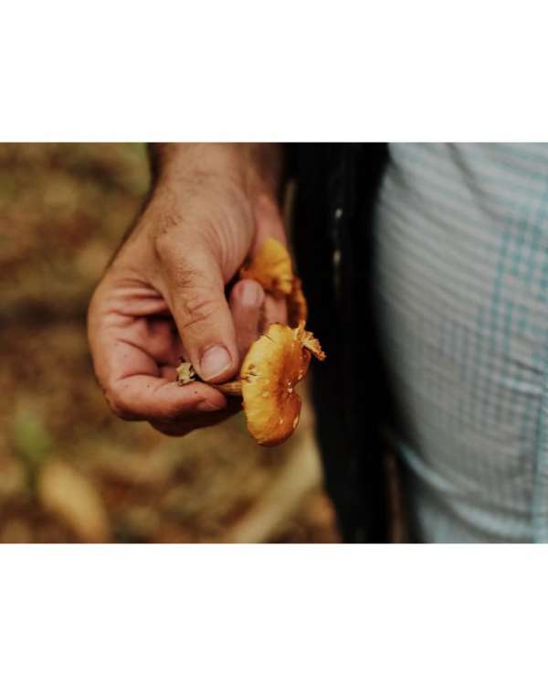 Emiliano Granado (@quesofrito) photographs ...