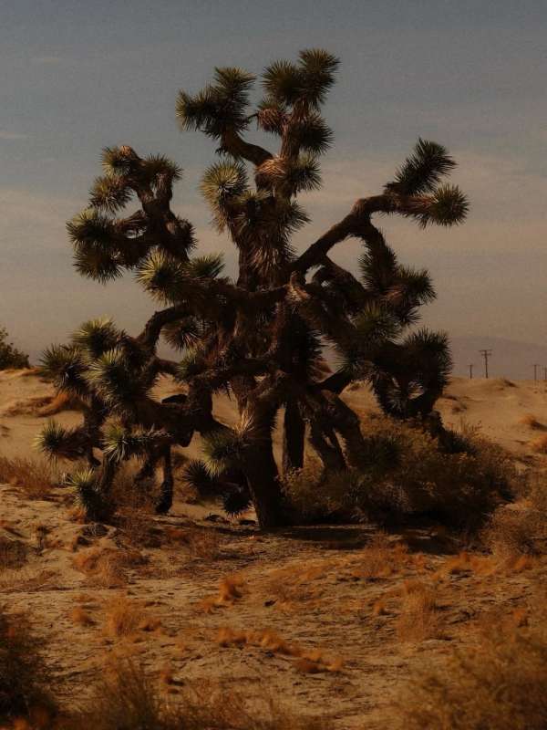Maureen M. Evans (@maureenme) photographs V...