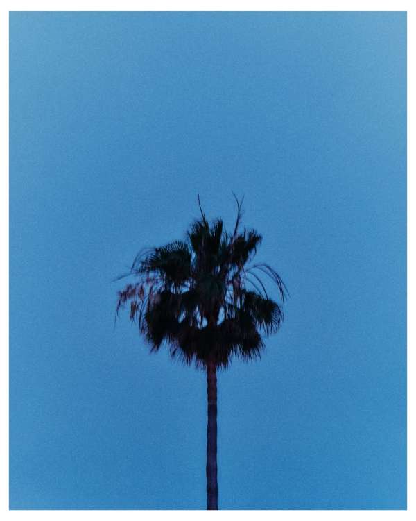 Emiliano Granado (@quesofrito) photographs ...