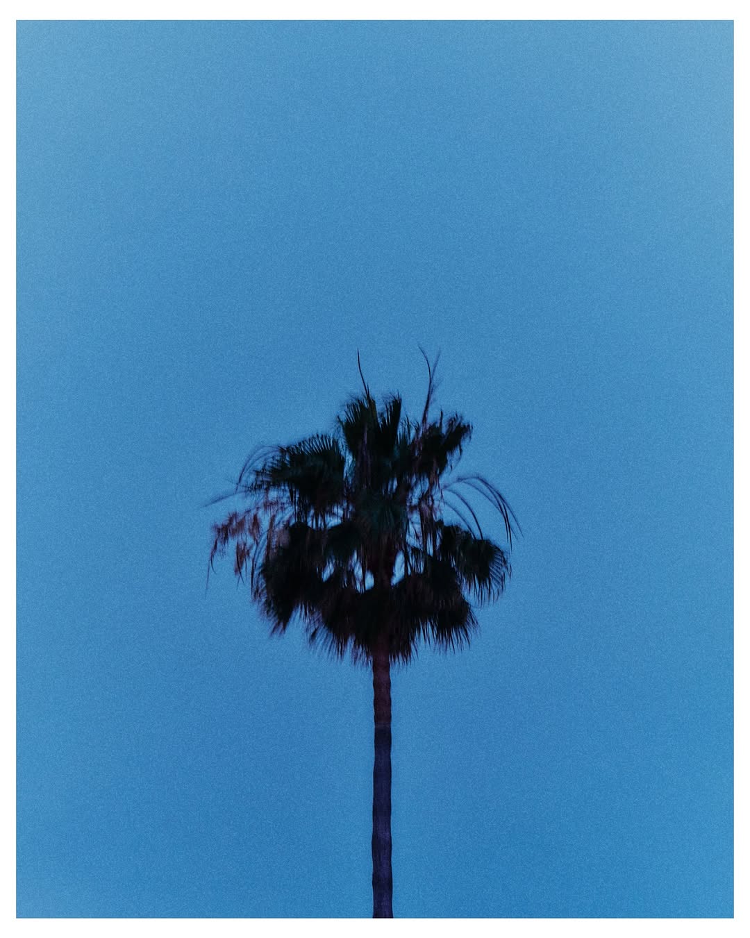 Emiliano Granado (@quesofrito) photographs for @dazed x @nike.

#EmilianoGranado #Dazed #Nike