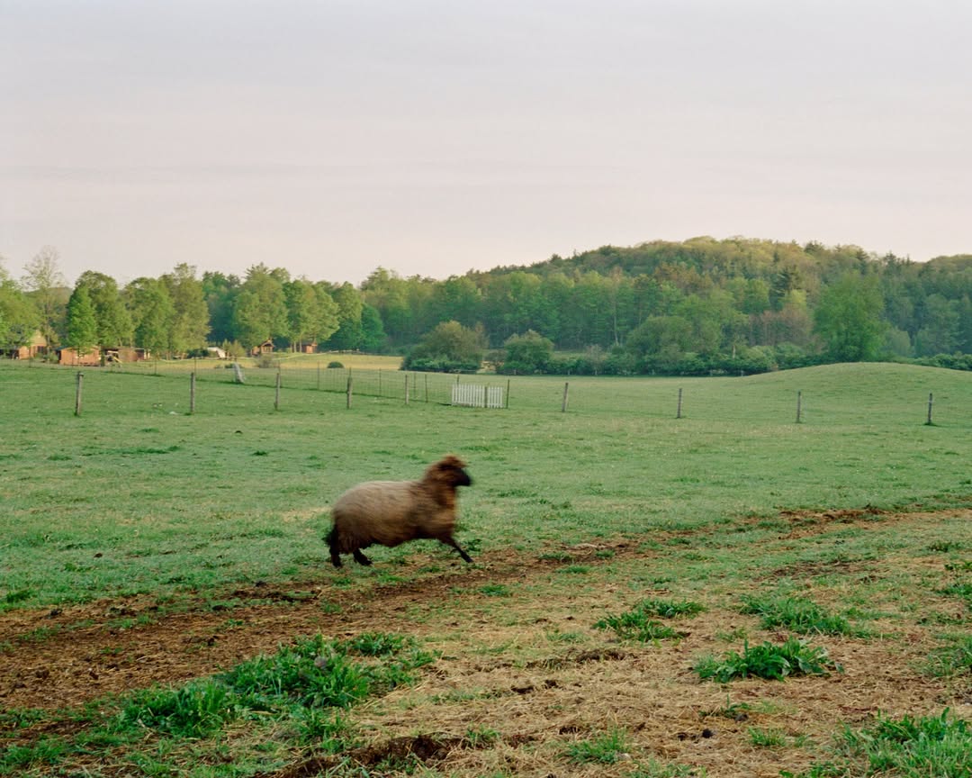 We’re excited to share that Lucia Bell-Epstein h...