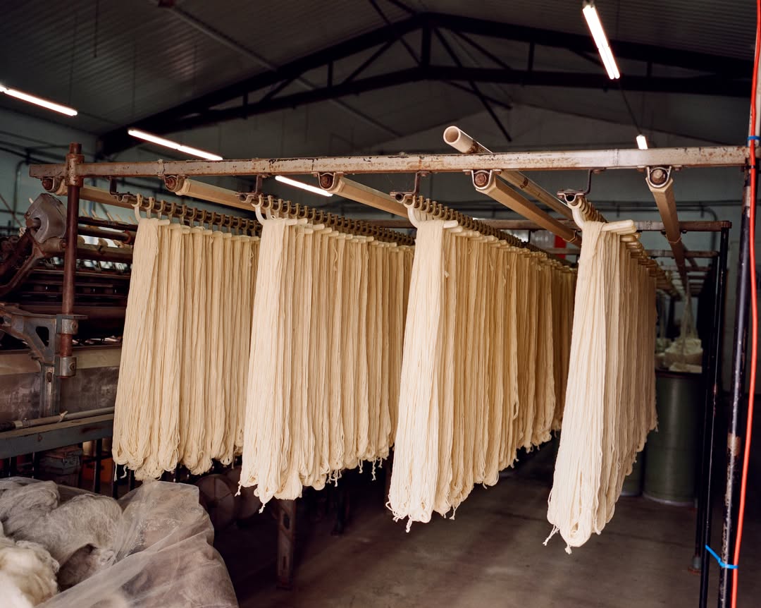 We’re excited to share that Lucia Bell-Epstein h...