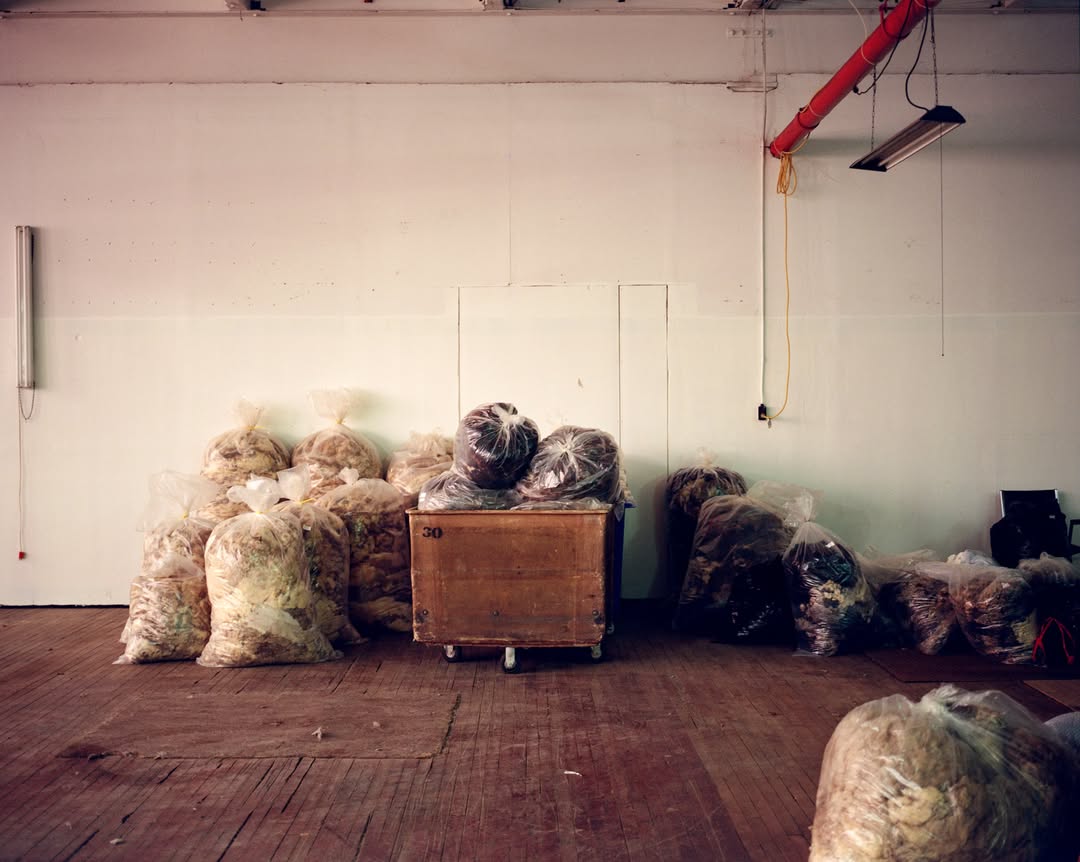 We’re excited to share that Lucia Bell-Epstein h...