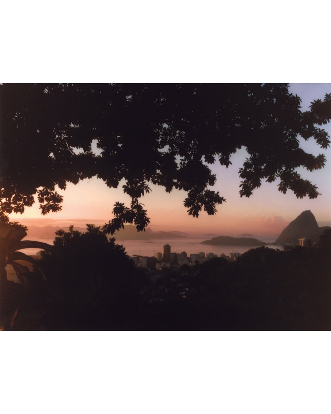 Leeor Wild (@leeorwild) photographs for @fforahh in Rio. 

#LeeorWild #Photographer #Forah #Rio #LairdandGoodCompany