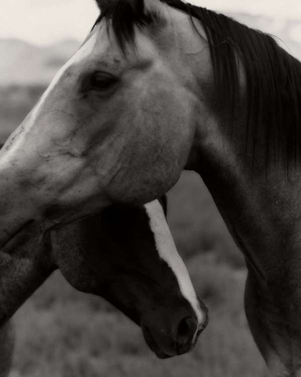 Rich Stapleton (@rvstapleton) photographs f...