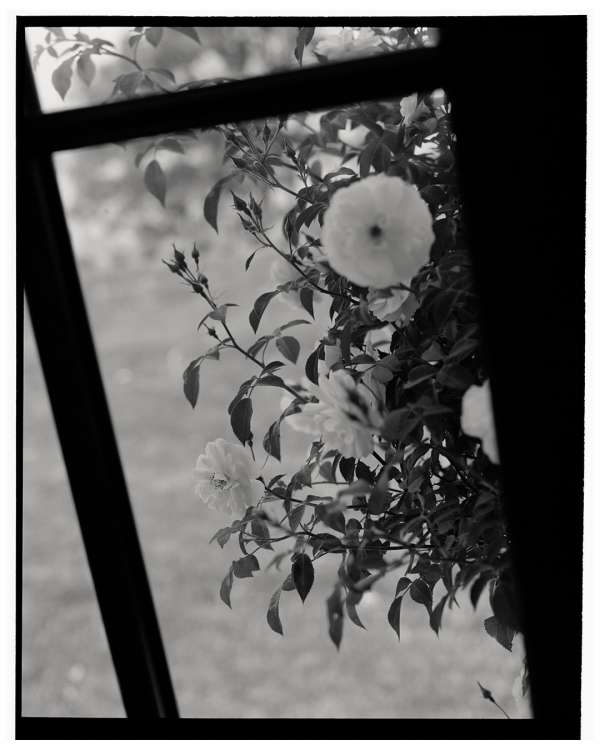 Rich Stapleton (@rvstapleton) photographs @...