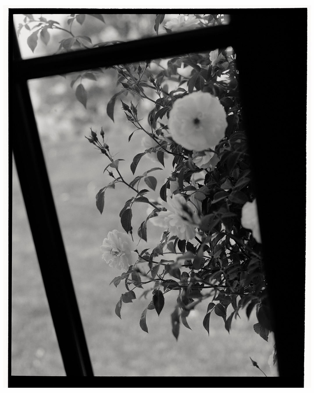Rich Stapleton (@rvstapleton) photographs @venuswi...