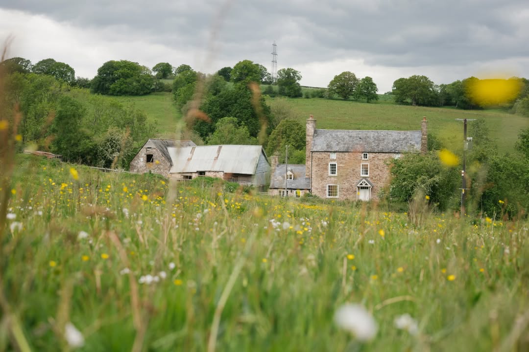 Finn Beales (@finn) photographs for @rewildingb ac...